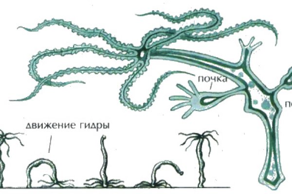 Кракен новый маркетплейс